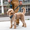 DOG Copenhagen Comfort Walk Air 3.0 Dog Harness - Harness