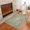 Goideal Washable Entry Rug, Green Small 2x3 Area Rugs, Indoor