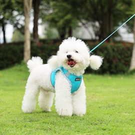 EarthPETS Step-in Checkered Pet Harness with a Free 59” inch Leash Included - Breathable Air Mesh for Dogs & Cats, Safe Vest Built with Reflective Straps, Buckle & Double Metal Rings, Ocean Blue, S