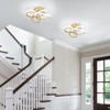 CANEOE Gold Led Hallway Light, 6000K Modern Led Ceiling Light