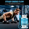 APEfuel Creatine Gummies for Men & Women - Sugar-Free Blueberry