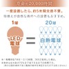 Iris Ohyama LDG2L-G-FC LED Bulb, Mini Ball Bulb, E26, 25W,