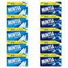 10 Mintia Assortment flavors Japanese Mint Tablet Candy (5 Wild and Cool 5 Cold Smash)