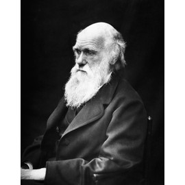 Charles Darwin 1869 Portrait Poster Photo Famous People Posters Photos 16x20