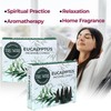 TRUMIRI Eucalyptus Incense Cones - Total 20 Cone Incense -