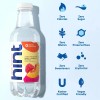 Hint Flavored Water Variety Pack 16 fl. oz., 18 pk.