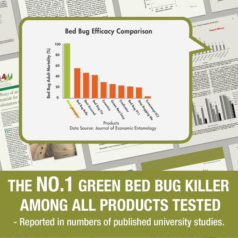 EcoRaider Bed Bug Killer Spray 1 Gallon Jug, Green +