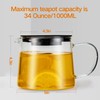 Glass Teapot 34oz/1000ml with Removable Stainless Steel Infuser Tea pot,