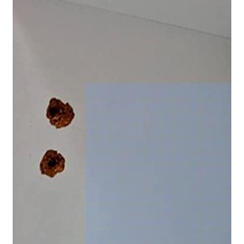 BSM Marketing Kitchen Cupboard Door Hinge Repair KIT Includes Plates and Fixing Screws Brown, Cream, ZINC and White (10, White)