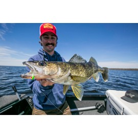 Northland Fishing Tackle Freshwater Tungsten Short Shank Fishing Jig for Bass, Walleye, Trout, and Many Others, Parakeet, 1/4 Oz 2/0 Hook, 2/Card