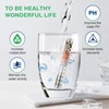 Hominas Water Filter Portable, Hydrogen Alkaline Water Stick Ioniser Minerals