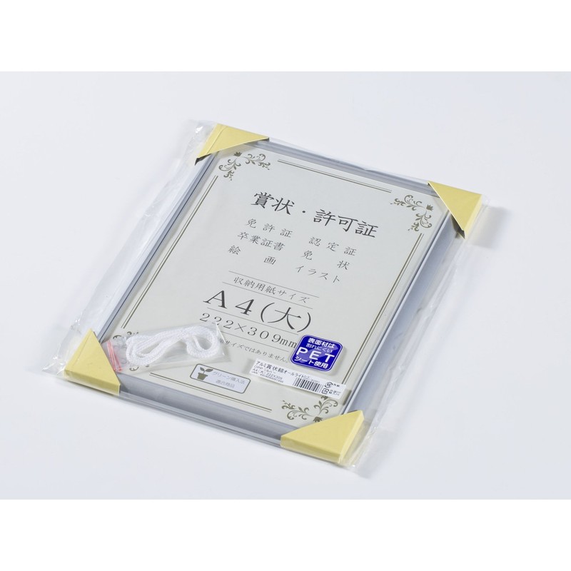 Daisen J091B2501 A4 Large Frame Award Plaque All Light Aluminum