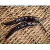 Tasmania Tasmanian Black Hot Pepper Premium Seed Packet + More
