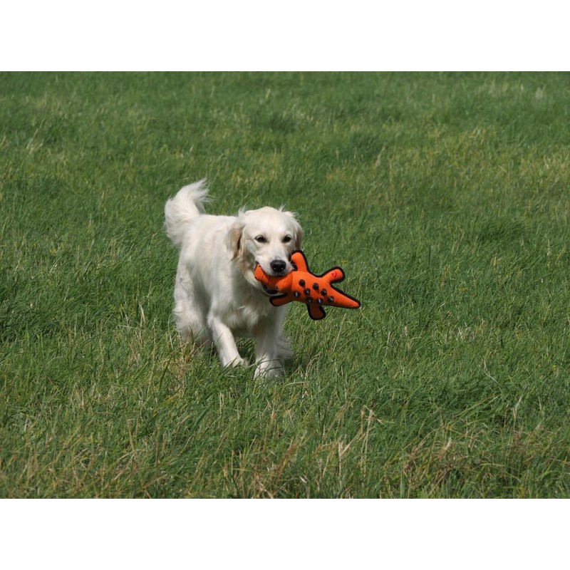 Petface (Seriously Strong by Petface) Nobbly Crocodile Dog Toy