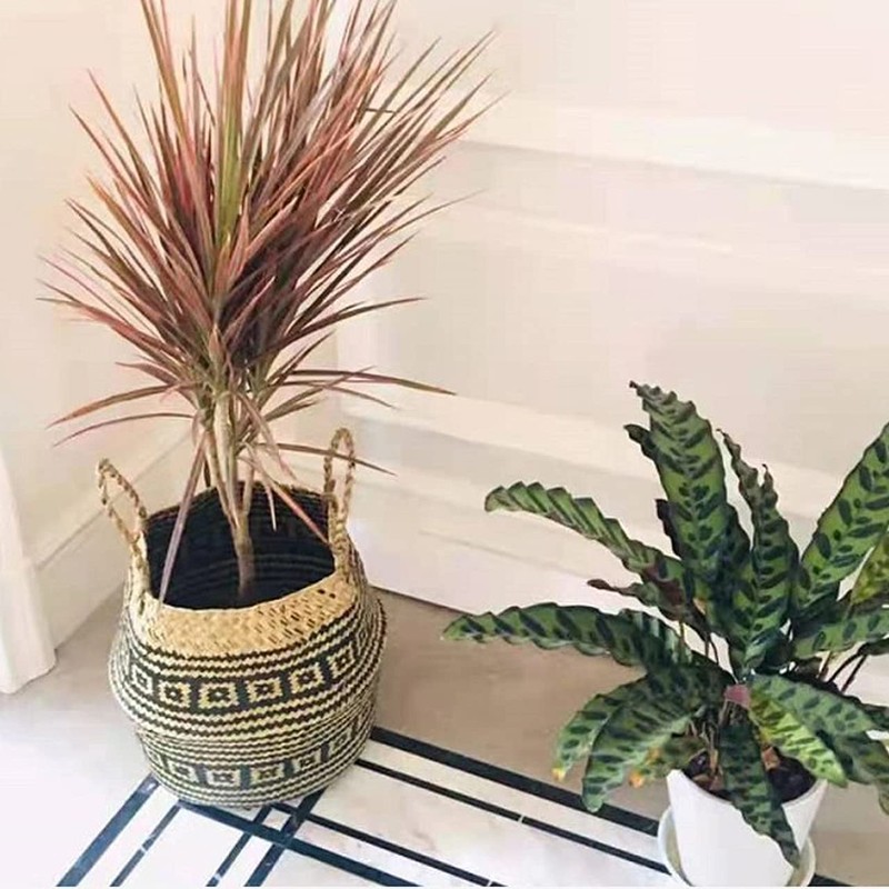 Cocochie Pot Cover, Stylish, No. 5, 6, 7, 8, 9,