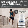 Zinc adicionado con Vitamina C y Gengibre - 100 Capsulas