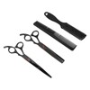 Hair Cutting Scissors Set with Straight Shear and Thinning Shear