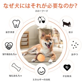 GULIGULI Dog Toy, 5 in 1 Ball, Snack, Plaque Removal, Prevention of Fast Eating, Dessert, Educational Toy for Dogs, Bait Toy, Durable, Durable, Medium Dogs, Large Dogs, Acorns (Yellow)