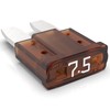 AUPROTEC Micro 2 Car Fuses Blade Fuses MikrOTO II 5A