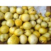 Lemon Cucumber Seeds