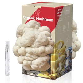 Large Double-Side Organic Lion's Mane Mushroom Growing Kit, Edible 4lbs Non-GMO Mushroom Kit, Grow Mushroom at Home, Indoor Gardening Birthday Gift, Holiday Gift