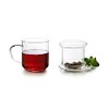 IBILI - Teetasse mit Filter Salvia, 0,4 Liter, Borosilikatglas