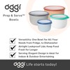 Oggi Prep, Store & Serve Plastic Bowl w/See-Thru Lid- Dishwasher,