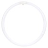 Sunlite 05023 - FC16T9/WW 05023-SU Circular T9 Fluorescent Tube Light