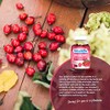 VITALDIN Cranberry Gummies – 500 mg of Cranberry Extract per