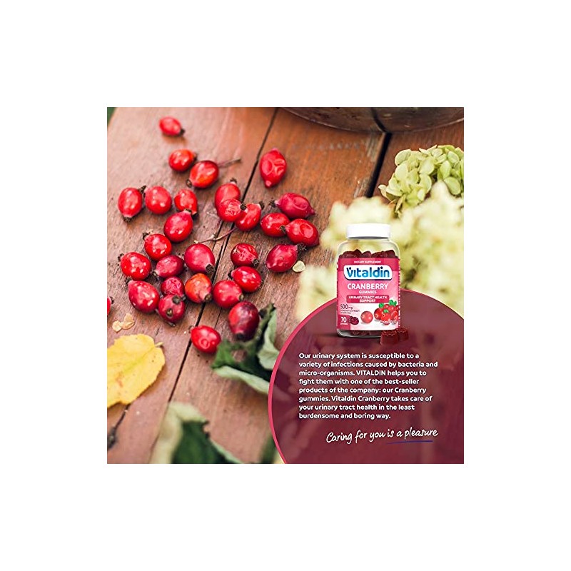 VITALDIN Cranberry Gummies – 500 mg of Cranberry Extract per