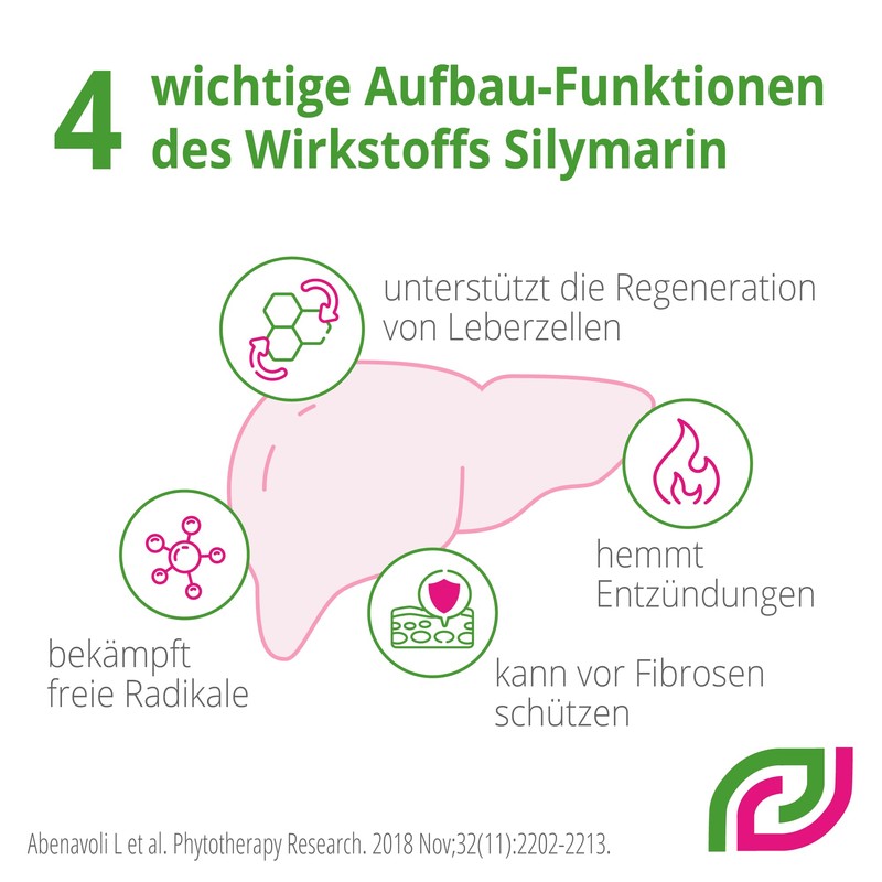 Legalon Forte Madaus Hard Capsules, Pack of 180