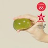 ongredients Jeju Green Tea Cleansing Ball - ongredients Jeju Green