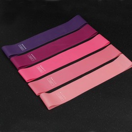 Resistance Bands for Legs and Glutes, Exercise Resistance Loop Bands for Home Gym Fitness, Workout, Yoga, Pilates, Strength Training, Booty Bands with Exercise Guide & Carry Bag (Set of 5)