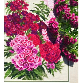 Riolis Stickbild-Set, Motiv Sweet William, Kreuzstich nach Zählmuster