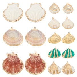 HOBBIESAY 16Pcs Natural Shell Pendants 8 Styles Scallop Pendants Dyed Beach Seashells Charms Ocean Sea Animal Pendants Charms for Jewelry Making Birthday