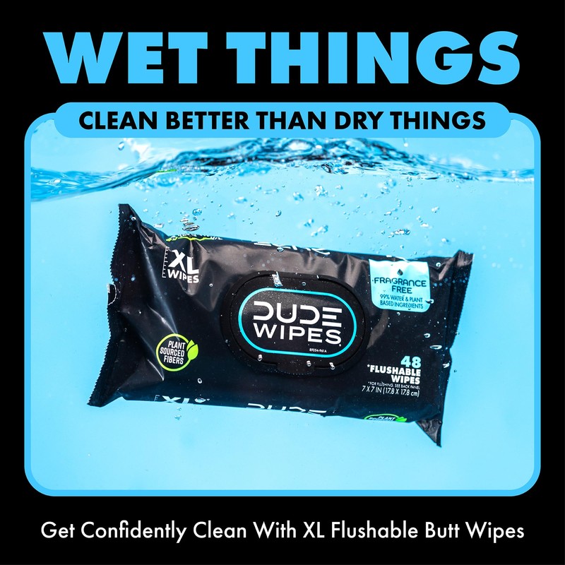 DUDE Wipes - Flushable Wipes - 8-Pack, 384 Count -