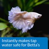 API BETTA WATER CONDITIONER Betta Fish Freshwater Aquarium Water Conditioner