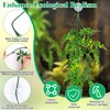 Coldairsoap Snake Climbing Vines with Reptile Plants Kit, Handcrafted Jungle