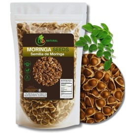 BEXPERTSUSA Store Moringa Seeds (Semillas) – 3.5 oz (Approx. 350 Seeds) – Premium Moringa Oleifera