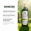 CLEOSKIN Shampoo de Romero con Bergamota para Crecimiento Cabello Champú