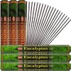 Citronella & Eucalyptus Incense Sticks & Holder Bundle Variety Pack