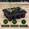 Bosmere Garden Care Modular Inserts, 12 Cells, Pack of 6,