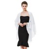 BEAUTELICATE Women's Chiffon Scarf, Stole, Bolero for Evening Dress, Festive,