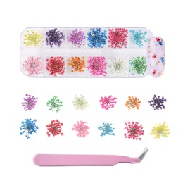 KGDUYC 1 Karton 3D Nagelkunst Aufkleber, Echte Getrocknete Blumen Nagelkunst Aufkleber Nail Art Sticker Maniküre Nail Art Dekoration,3d gel nail art,Trockenblumen-Gypsophila nail art - mit Pinzette