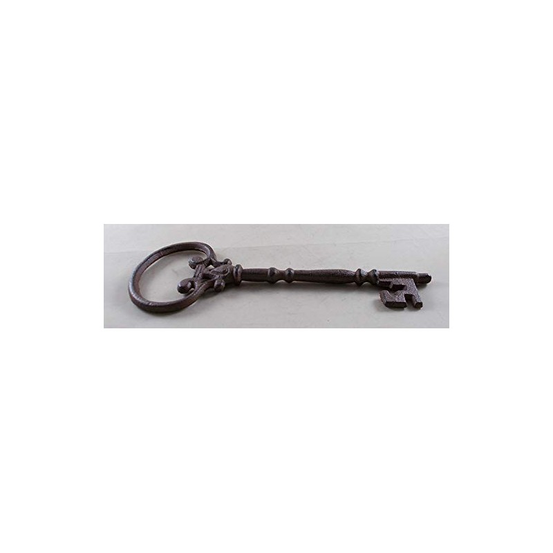 Iron Decorative Skeleton Key, Brown, Size No Size