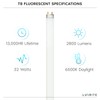 LUXRITE F32T8/865 32W 48 Inch T8 Fluorescent Tube Light Bulb,