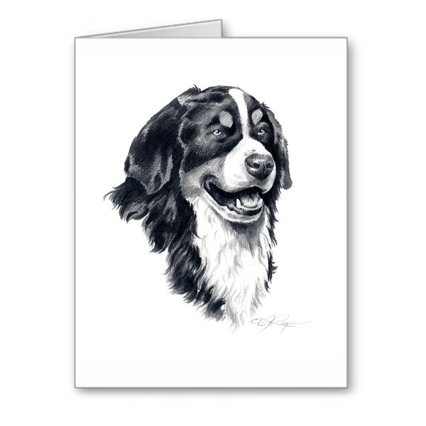 DJ Rogers Fine Art Bernese Mountain Dog - Set of