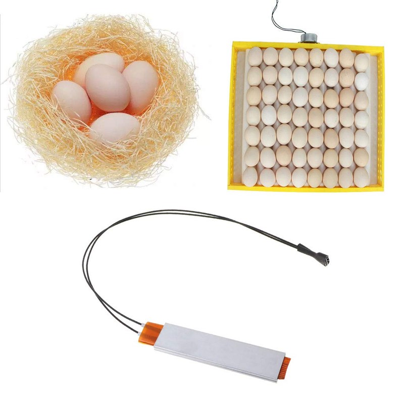 SUCHUANGUANG Heating Incubator Heating Element Plate for Eggs Incubator Accessories