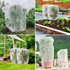 PORPAN 5 Packs Netting for Garden Protection, 2.6 FTx 3.9