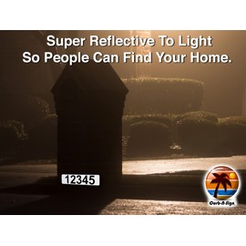 Curb-N-Sign® Texas Curb Wrap®, Reflective Aluminum Peel and Stick Curb Address Decals (Don't Mess With texas)